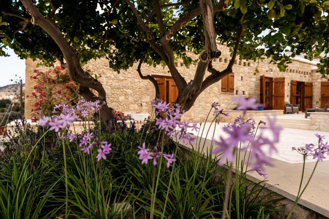 Harma Traditional Boutique Suites Paphos Luaran gambar